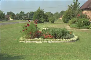 small_9400 1025 family, cloudsImg0065.webp